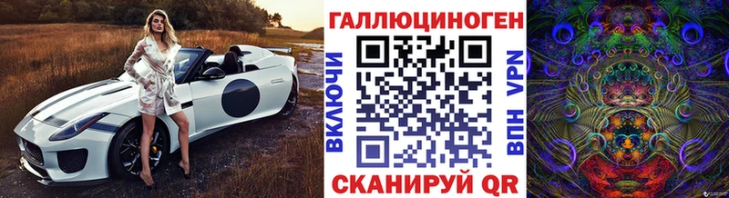 Псилоцибиновые грибы Psilocybe  где купить наркотик  Каменногорск 